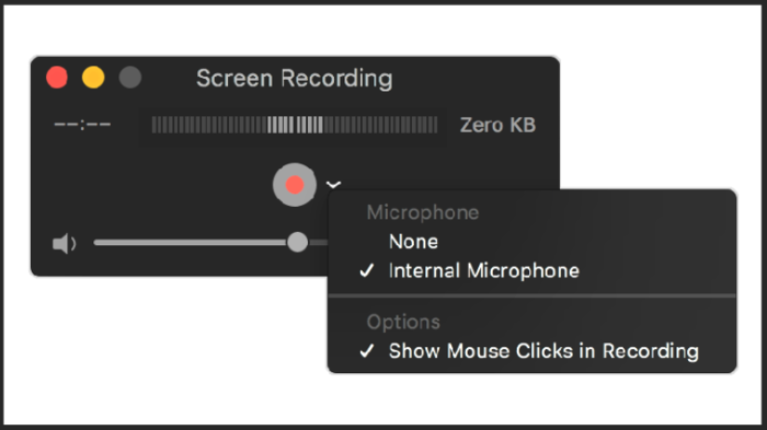 lua-chon-internal-microphone-va-show-mouse-clicks-in-recording