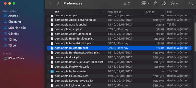 Điền /Library/Preferences để mở file plist