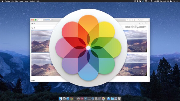 Mở ứng dụng Ảnh/ Photos trên màn hình chính của MacBook để xem ảnh đã được chuyển từ iPhone
