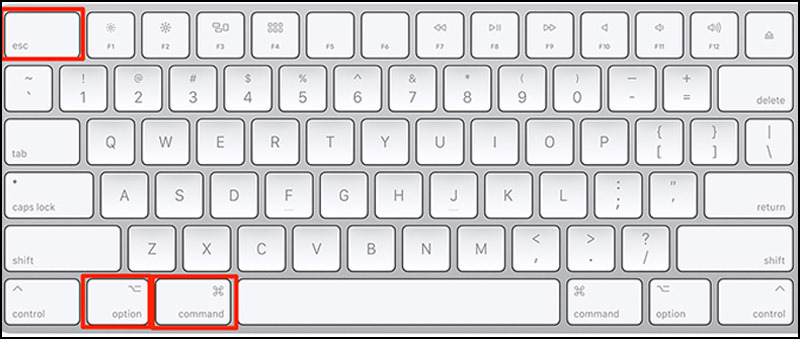 Nhấp tổ hợp phím Command + Option + Esc