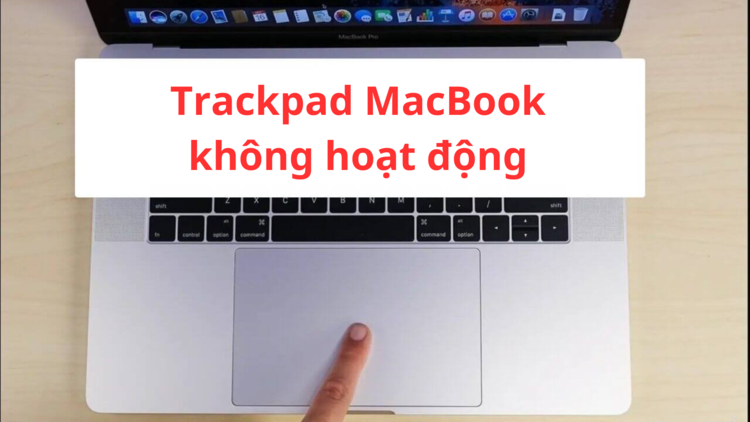 Trackpad bị đơ, lỗi, không hoạt động là không thể tránh khỏi trong quá trình sử dụng