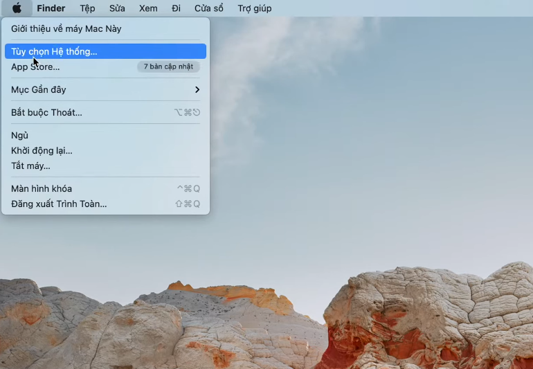 Chọn Tùy chọn hệ thống (System Preference)