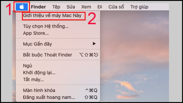 Nhấp chuột vào biểu tượng quả táo ở trên màn hình và nhấn vào “Giới thiệu về máy Mac này/About this Mac”