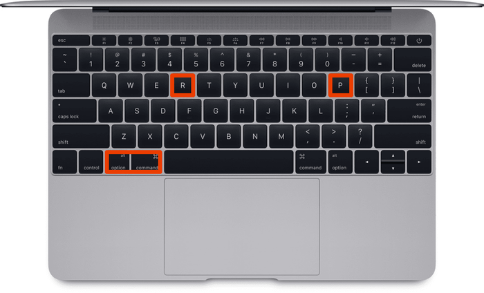 Trình cài đặt Mouse của MacBook giúp bạn thực hiện những setup trong lần sử dụng chuột đầu tiên