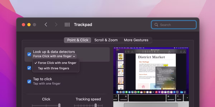 Tick chọn “Look up & Data detectors” trên giao diện TrackPad