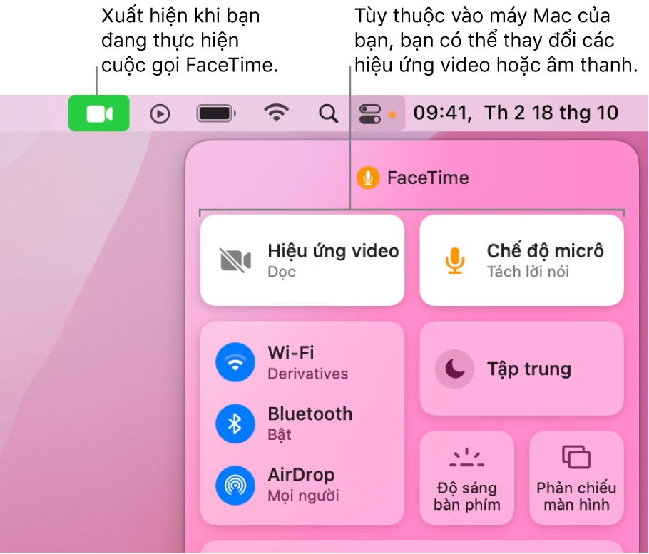 Cach-bat-che-do-chan-dung-trong-cac-cuoc-goi-facetime-tren-may-mac