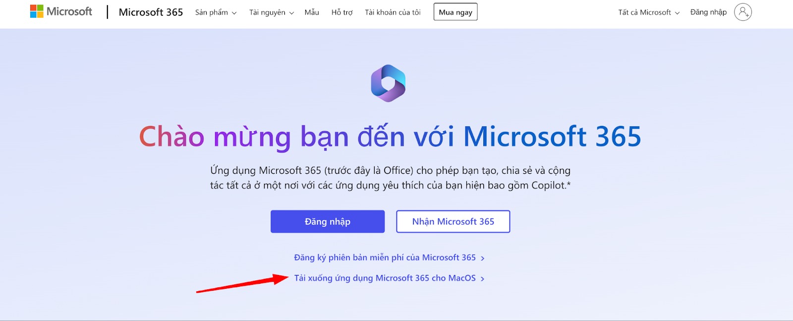 Tải xuống bộ ứng dụng Office 365 trên website Microsoft